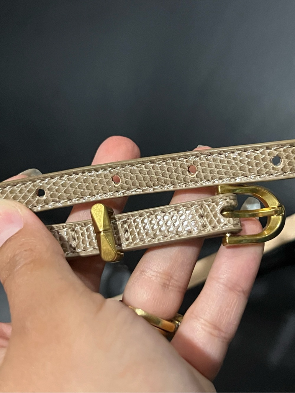 Slim Taupe Textured Belt with Gold Buckle